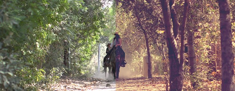 1563443488641674.jpeg 02.jpg